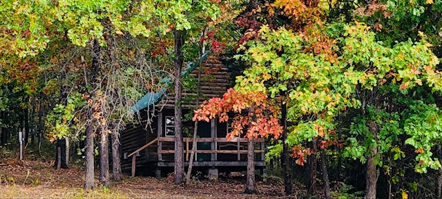 Family Cabin